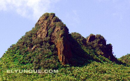The trail to los picachos in the el yunque rainforest goes to a small platform at the very top