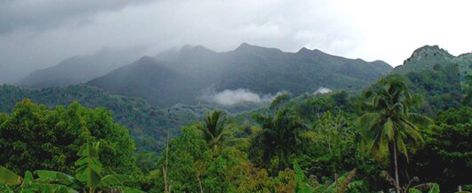 The peaks of the El Yunque rainforest on top of the Luquillo mountains in eastern Puerto Rico